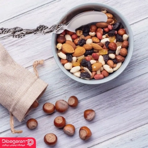 قاشق آجیل خوری استیل ریور کد 8464